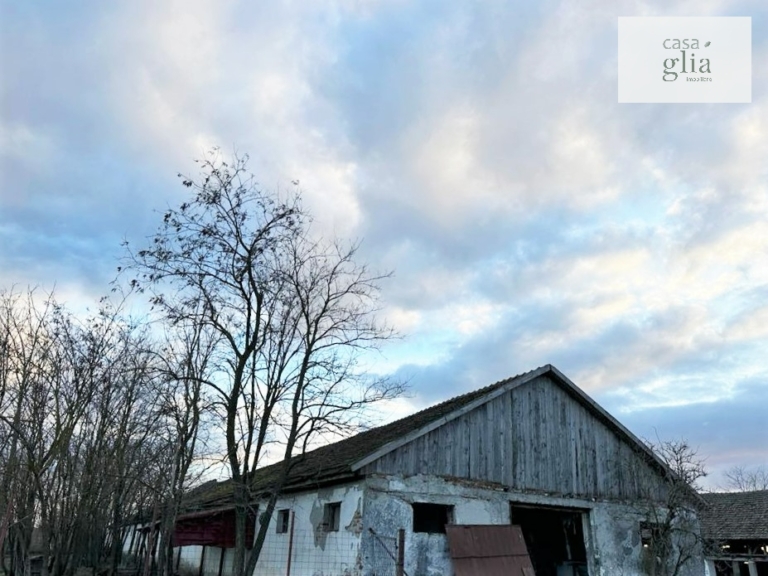 Farm with fertile agricultural land for sale in Romania Real Estate Agency Romania Casa Glia