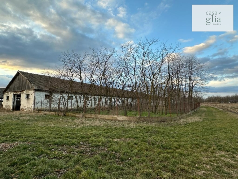 Bauernhof mit fruchtbares Ackerland zum verkauf in Rumanien Immobilienagentur Rumanien Casa Glia