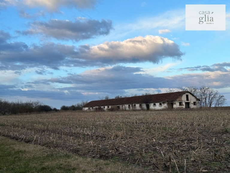 Bauernhof mit fruchtbares Ackerland zum verkauf in Rumanien Immobilienagentur Rumanien Casa Glia