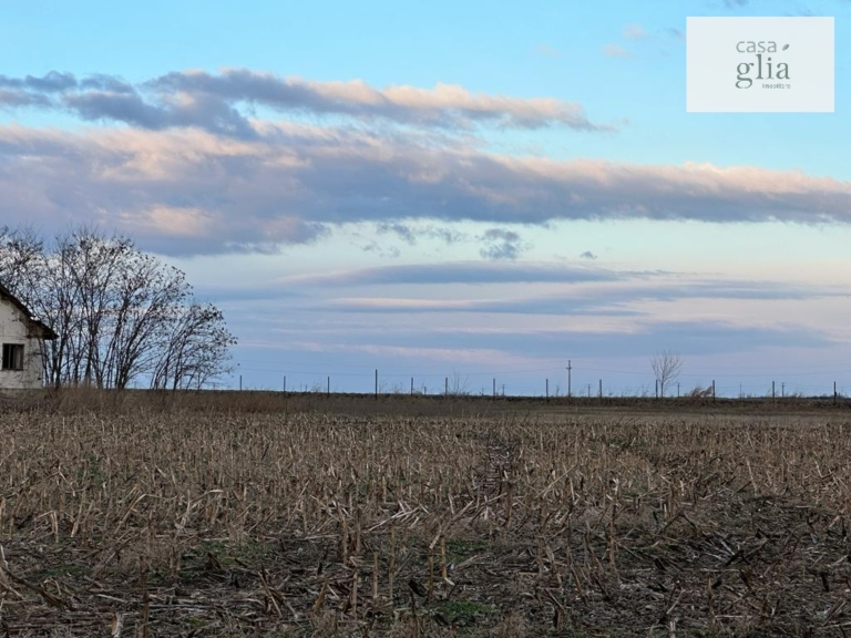 Bauernhof mit fruchtbares Ackerland zum verkauf in Rumanien Immobilienagentur Rumanien Casa Glia - Farm with fertile agricultural land for sale in Romania Real Estate Agency Romania Casa Glia