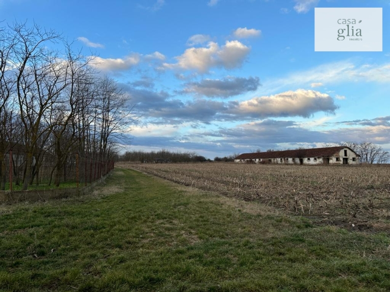 Bauernhof mit fruchtbares Ackerland zum verkauf in Rumanien Immobilienagentur Rumanien Casa Glia - Farm with fertile agricultural land for sale in Romania Real Estate Agency Romania Casa Glia