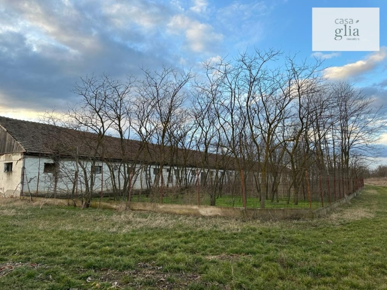 Farm with fertile agricultural land for sale in Romania Real Estate Agency Romania Casa Glia