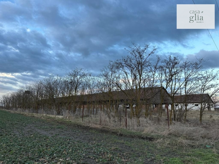 Bauernhof mit fruchtbares Ackerland zum verkauf in Rumanien Immobilienagentur Rumanien Casa Glia