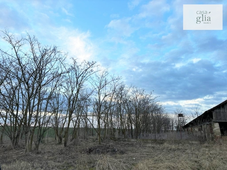 Immobilienagentur Rumanien Casa Glia - Bauernhof mit fruchtbares Ackerland zum verkauf in Rumanien