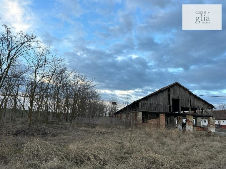 Bauernhof mit fruchtbares Ackerland zum verkauf in Rumanien Immobilienagentur Rumanien Casa Glia - Farm with fertile agricultural land for sale in Romania Real Estate Agency Romania Casa Glia