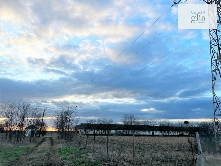 Bauernhof mit fruchtbares Ackerland zum verkauf in Rumanien Immobilienagentur Rumanien Casa Glia - Farm with fertile agricultural land for sale in Romania Real Estate Agency Romania Casa Glia