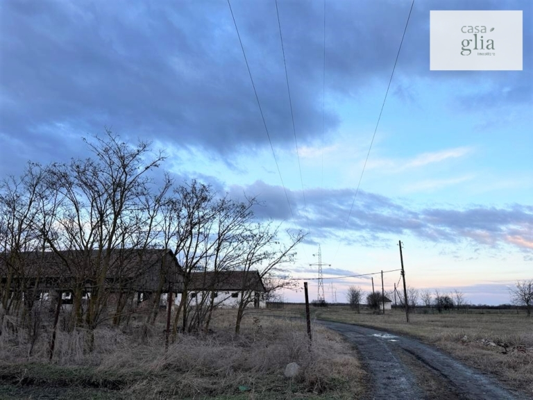 Immobilienagentur Rumanien Casa Glia - Bauernhof mit fruchtbares Ackerland zum verkauf in Rumanien