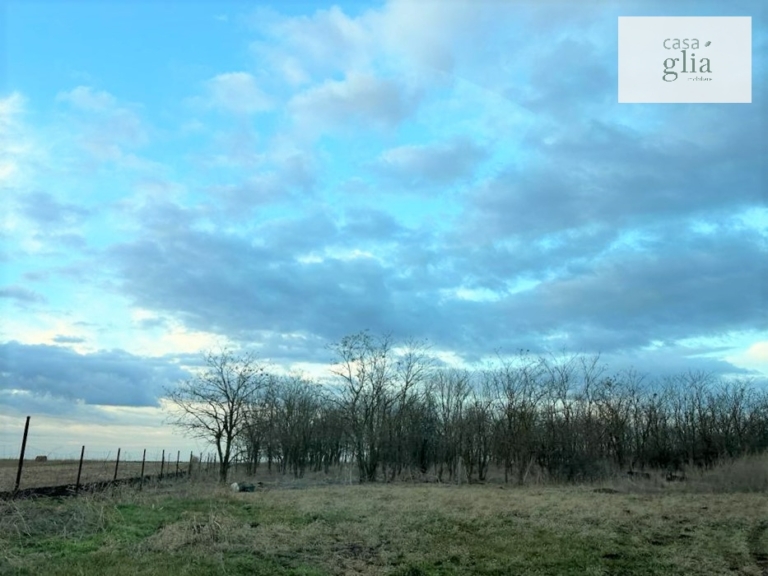 Farm with fertile agricultural land for sale in Romania Real Estate Agency Romania Casa Glia