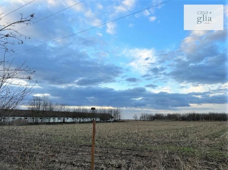 Real Estate Agency Romania Casa Glia - Farm with fertile agricultural land for sale in Romania