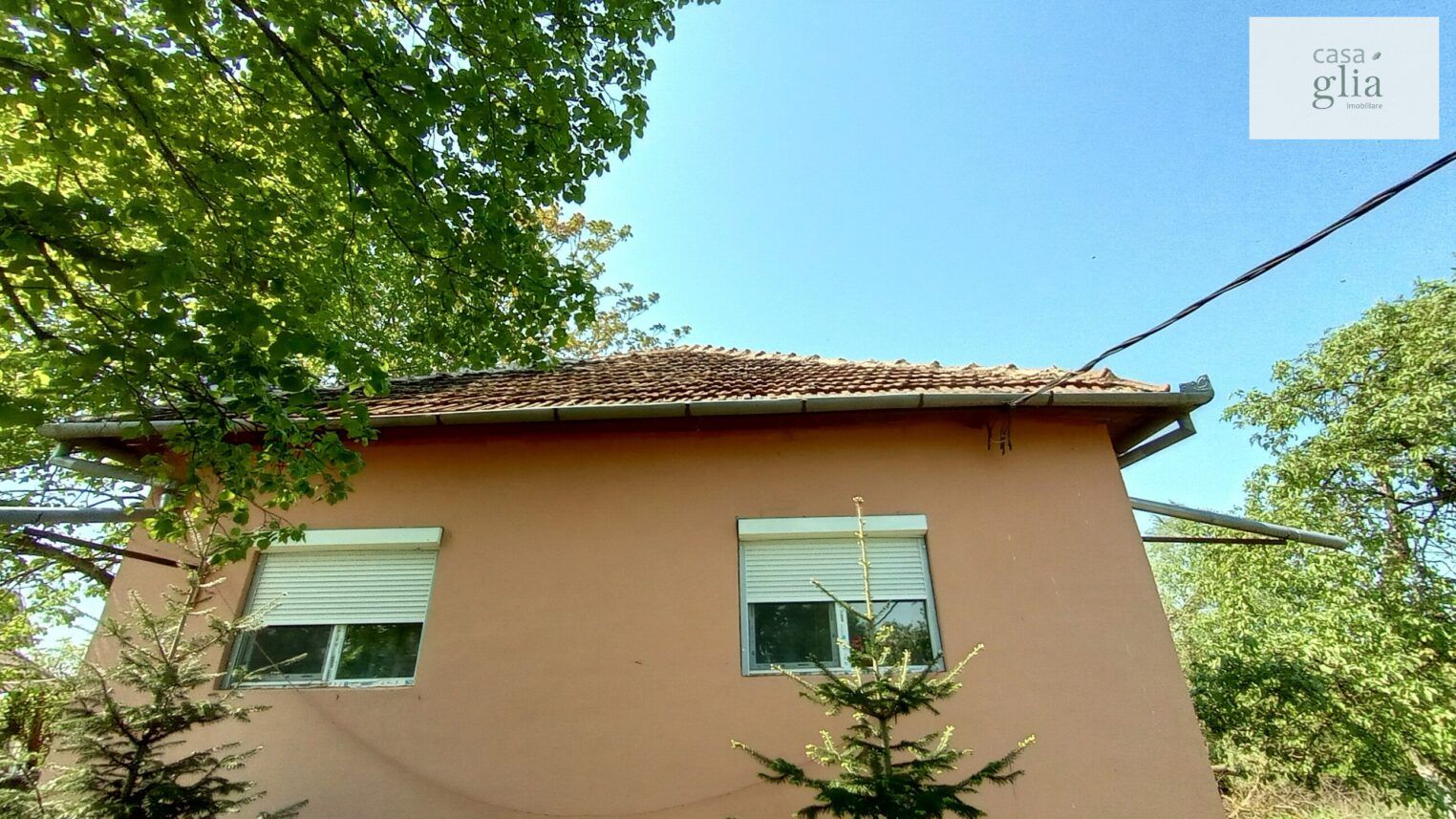 micsa-casa-proprietate-la-tara (1)