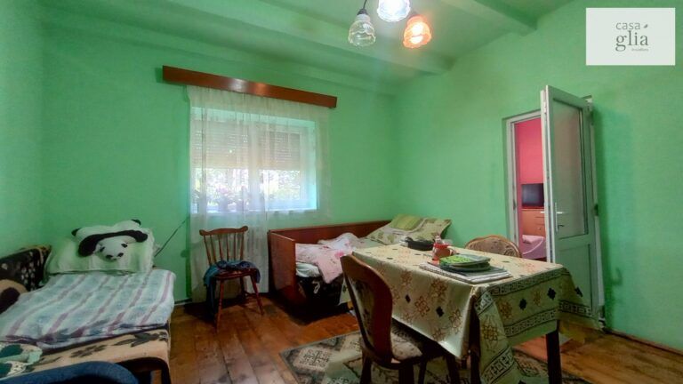micsa-casa-proprietate-la-tara (11)
