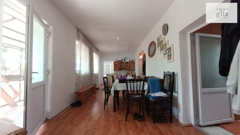 micsa-casa-proprietate-la-tara (15)