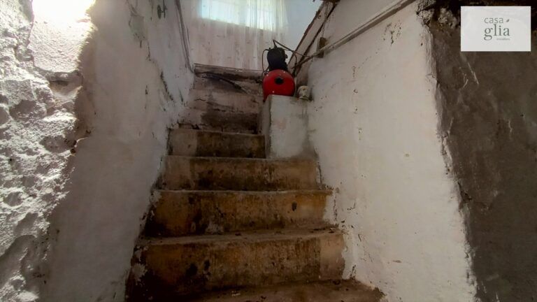 micsa-casa-proprietate-la-tara (17)