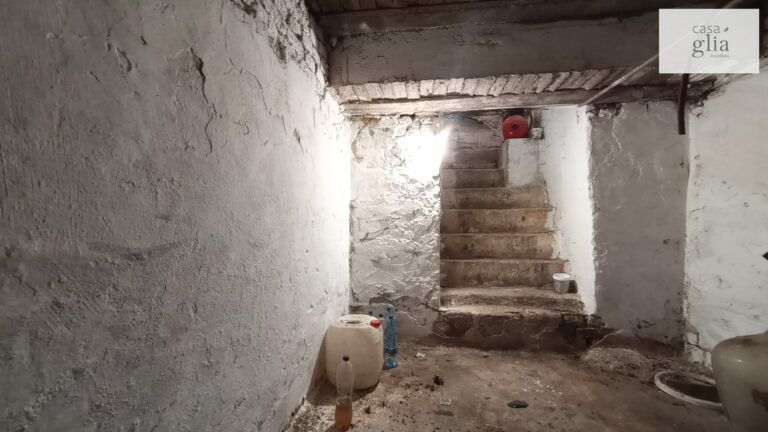 micsa-casa-proprietate-la-tara (18)