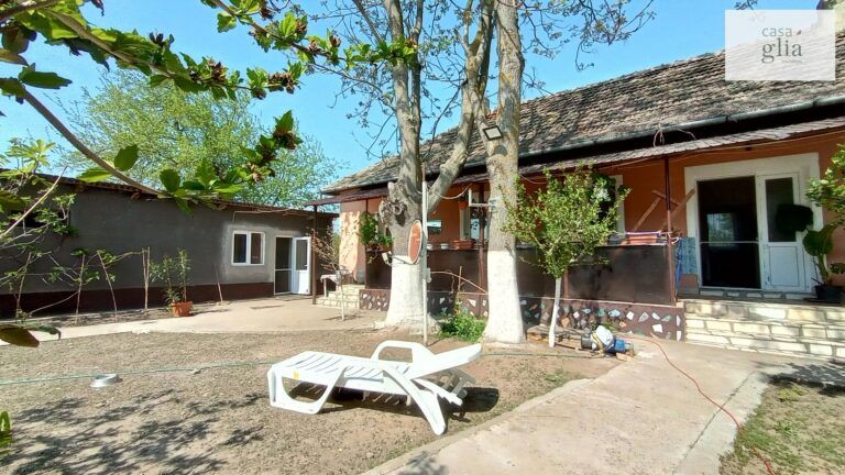 micsa-casa-proprietate-la-tara (2)