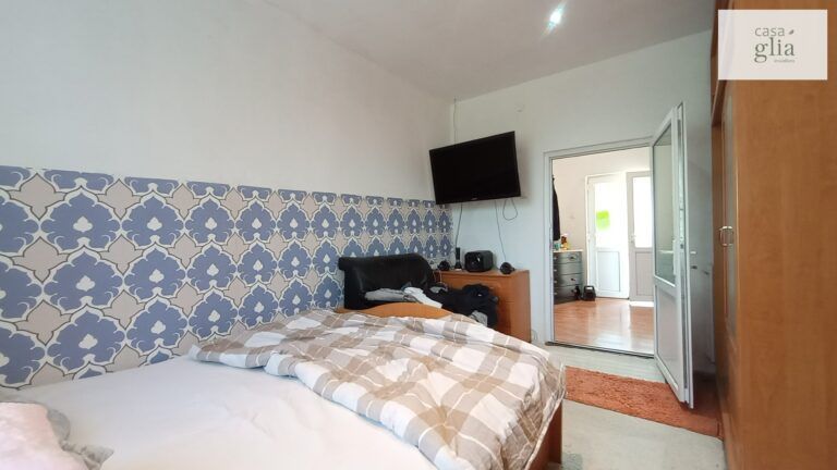 micsa-casa-proprietate-la-tara (20)