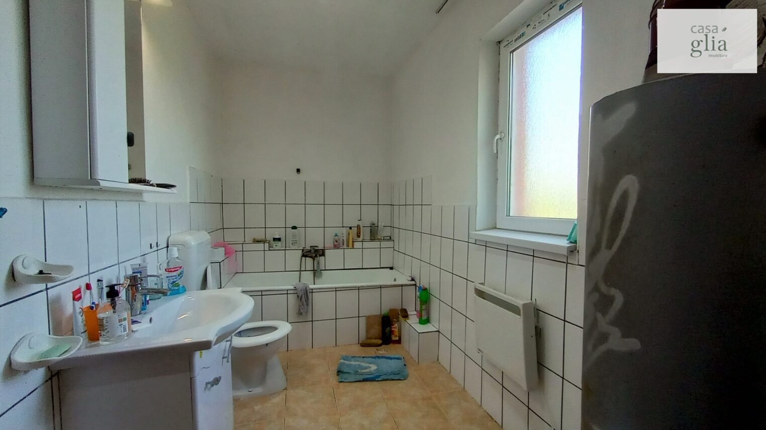 micsa-casa-proprietate-la-tara (22)