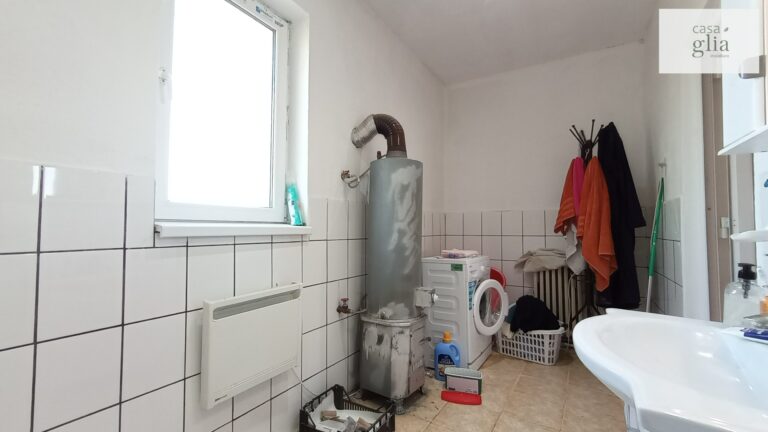 micsa-casa-proprietate-la-tara (23)