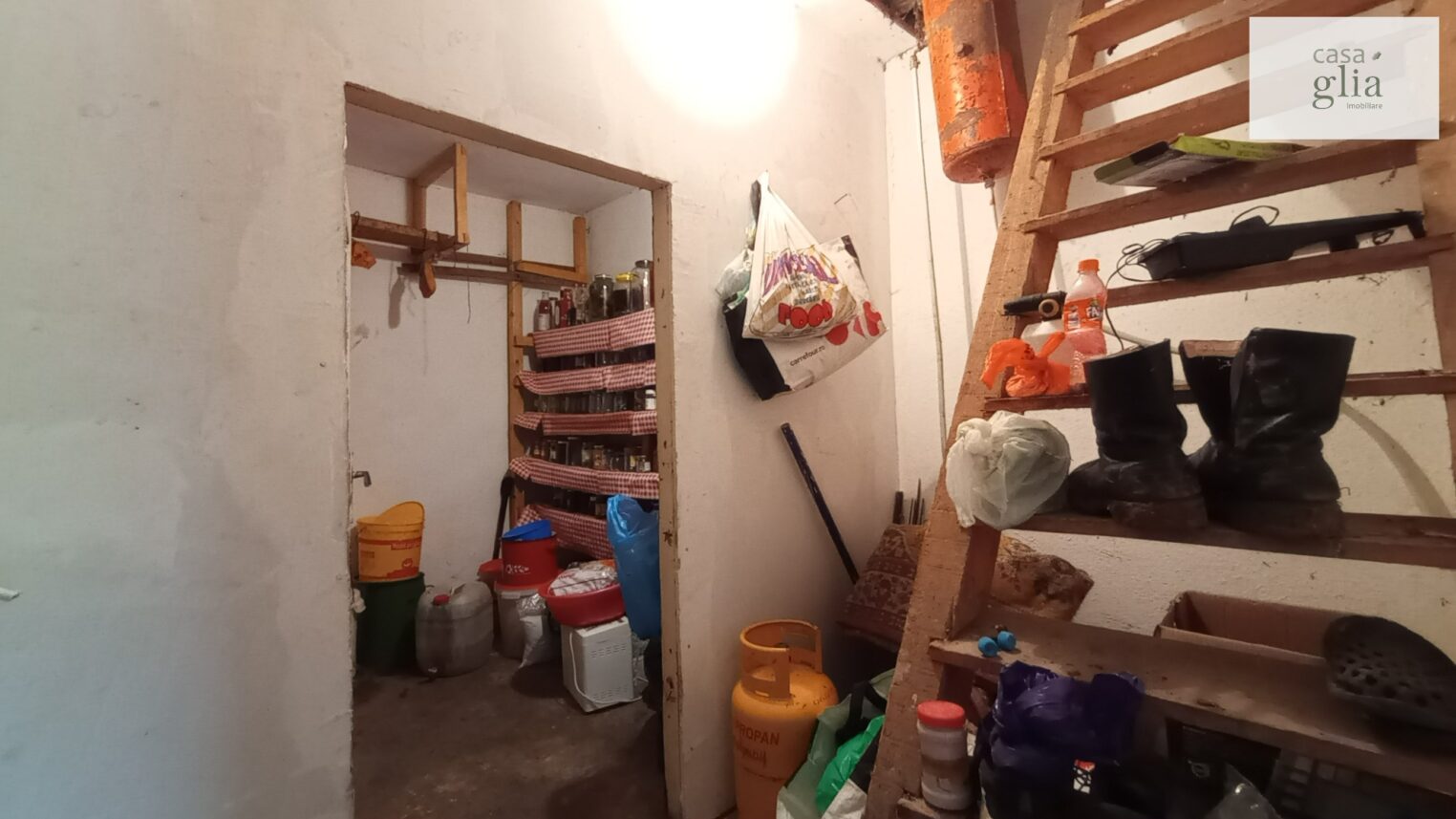 micsa-casa-proprietate-la-tara (25)