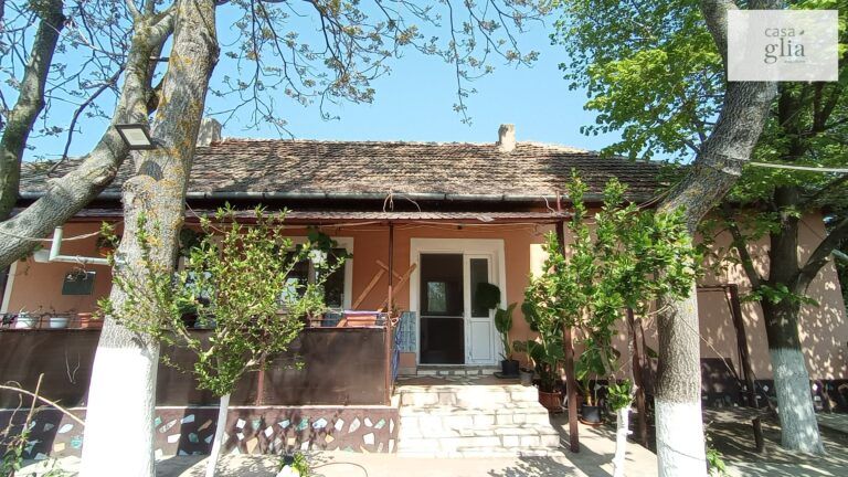micsa-casa-proprietate-la-tara (3)