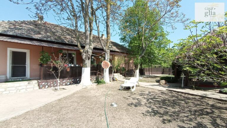 micsa-casa-proprietate-la-tara (4)