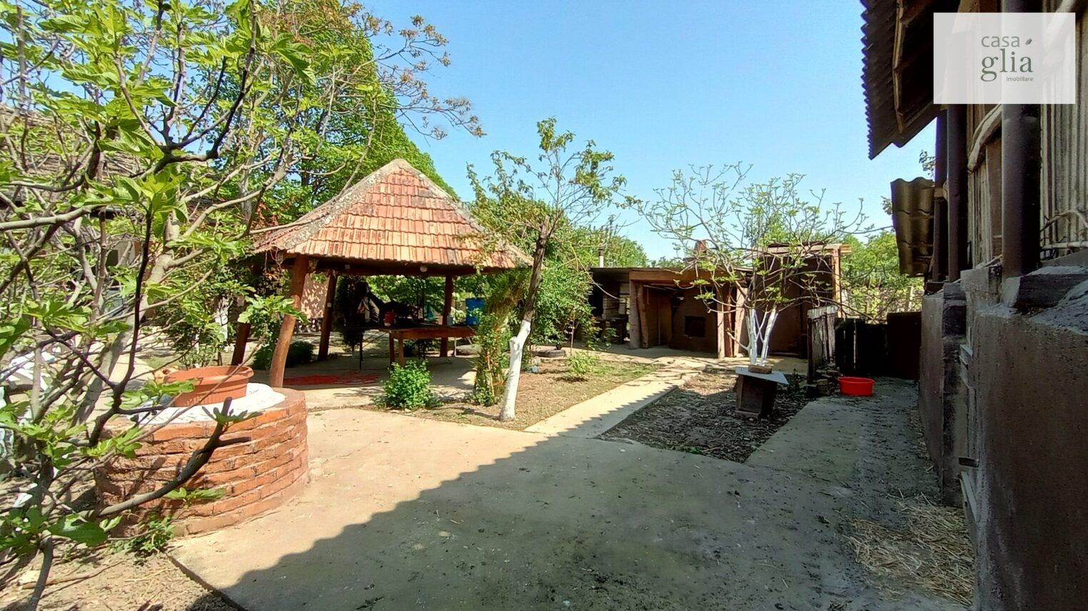 micsa-casa-proprietate-la-tara (6)