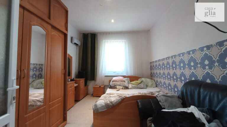 micsa-casa-proprietate-la-tara (8)