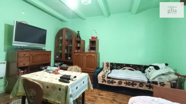 micsa-casa-proprietate-la-tara (9)