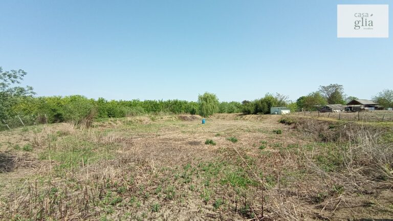 micsa-proprietate-la-tara-teren (1)