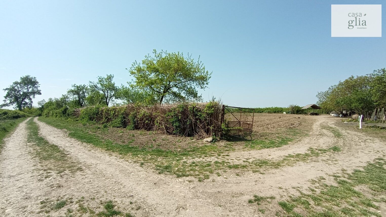 micsa-proprietate-la-tara-teren (11)