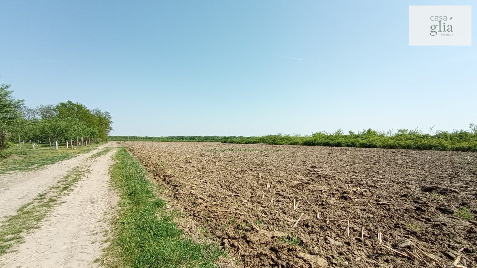 micsa-proprietate-la-tara-teren (12)