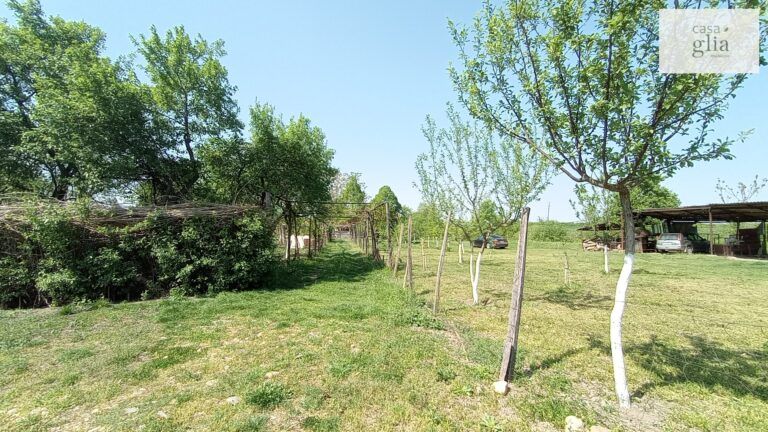 micsa-proprietate-la-tara-teren (14)