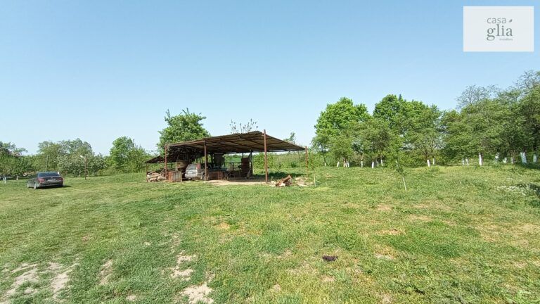micsa-proprietate-la-tara-teren (16)