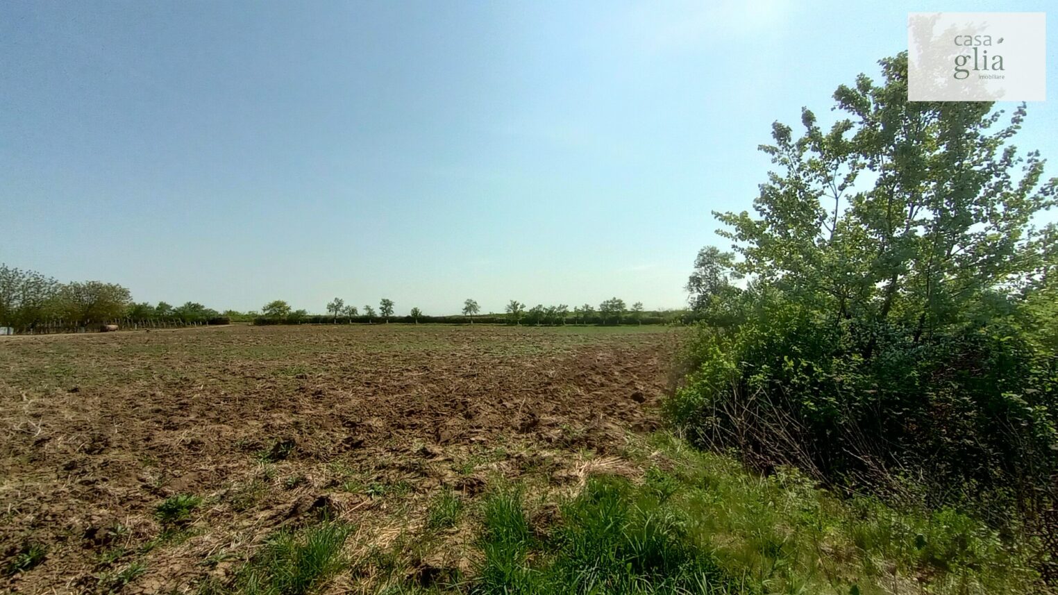 micsa-proprietate-la-tara-teren (2)