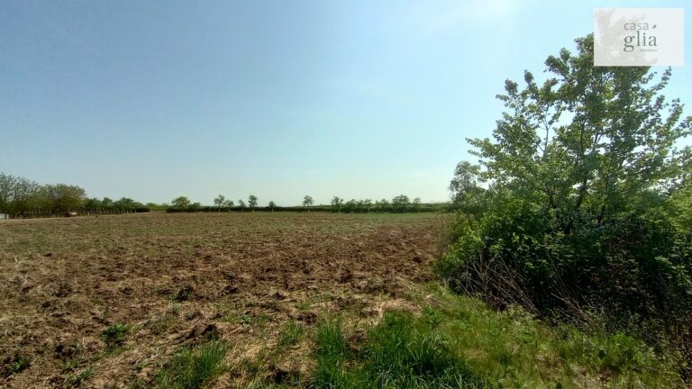 micsa-proprietate-la-tara-teren (2)