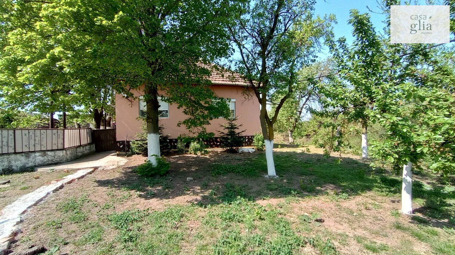 micsa-proprietate-la-tara-teren (21)