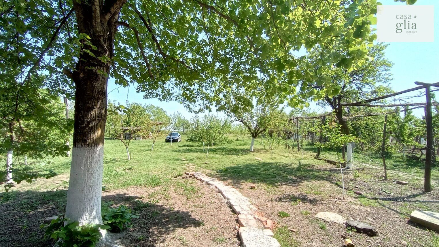 micsa-proprietate-la-tara-teren (22)