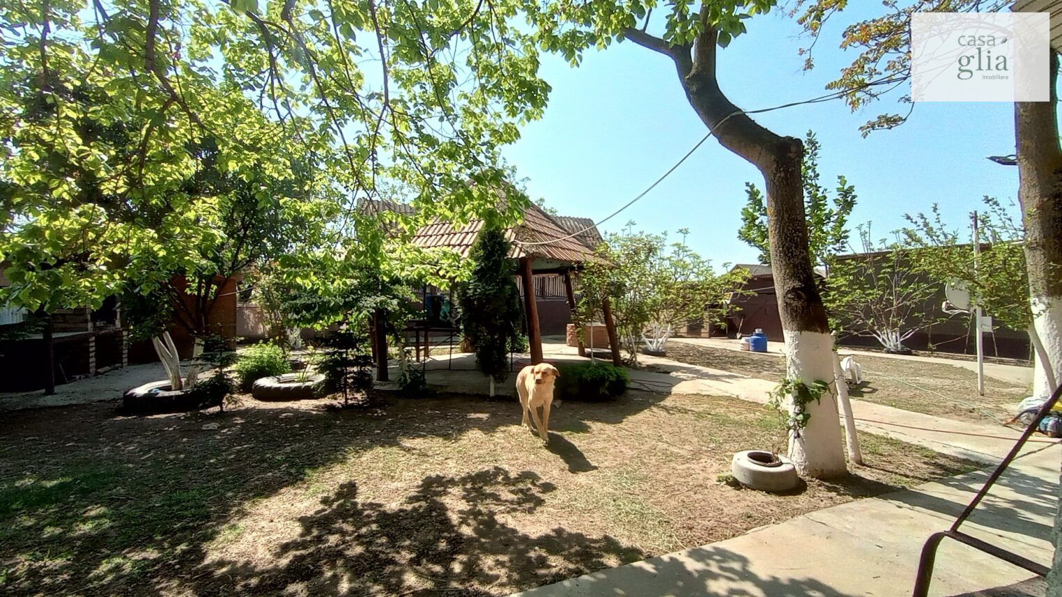 micsa-proprietate-la-tara-teren (23)