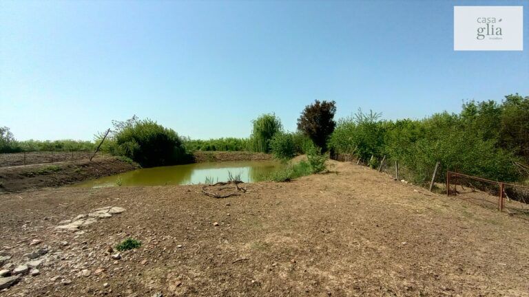 micsa-proprietate-la-tara-teren (24)