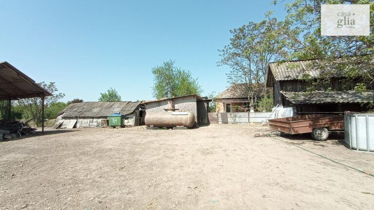 micsa-proprietate-la-tara-teren (25)