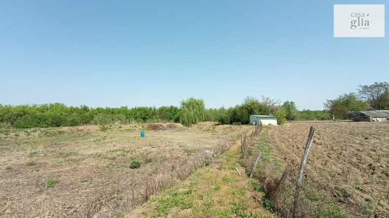 micsa-proprietate-la-tara-teren (3)