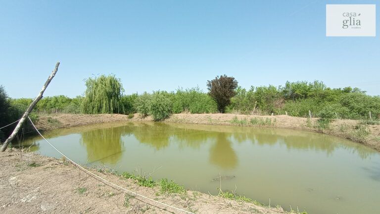 micsa-proprietate-la-tara-teren (4)