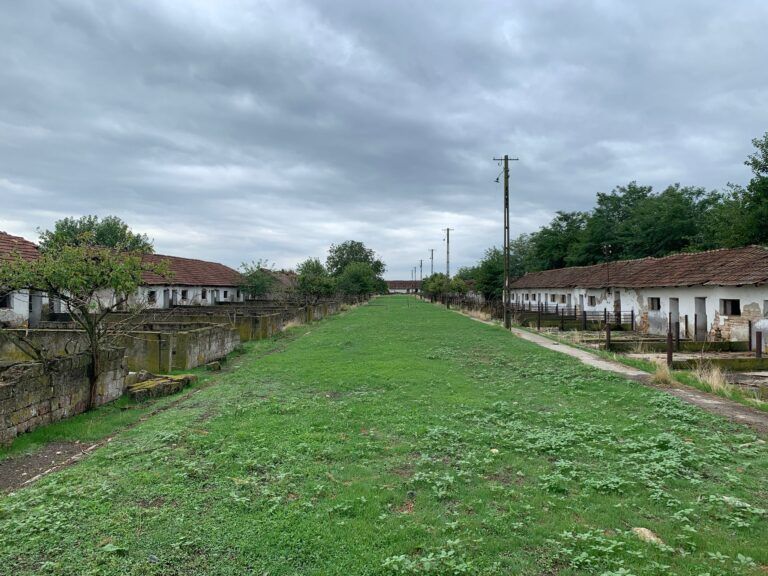 farm-for-sale-romania-ndlk-casa-glia (1)