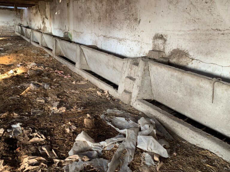 farm-for-sale-romania-ndlk-casa-glia (10)