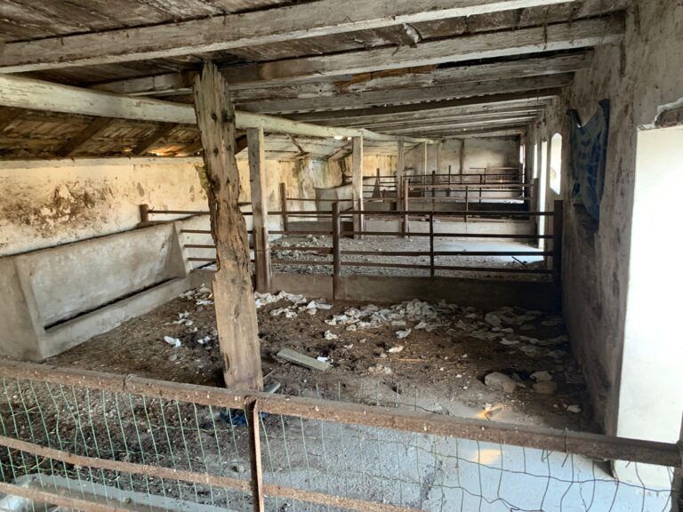 farm-for-sale-romania-ndlk-casa-glia (2)