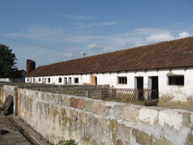 farm-for-sale-romania-ndlk-casa-glia (3)