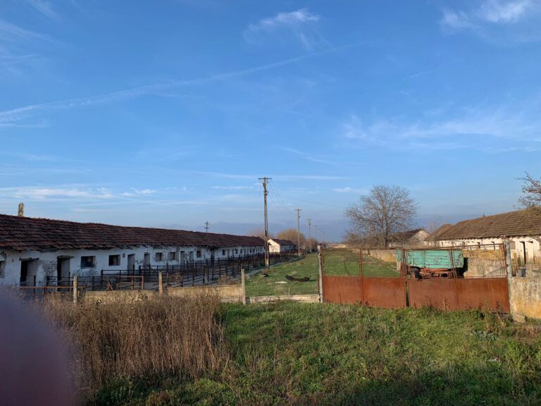 farm-for-sale-romania-ndlk-casa-glia (4)