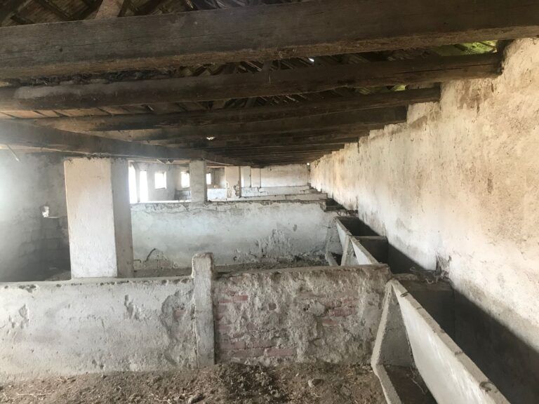 farm-for-sale-romania-ndlk-casa-glia (5)