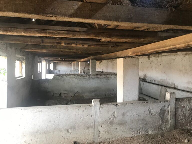 farm-for-sale-romania-ndlk-casa-glia (6)