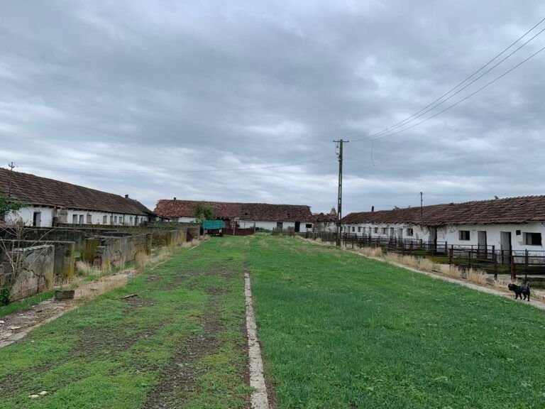 farm-for-sale-romania-ndlk-casa-glia (8)